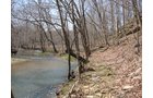 Property photo 31 - 137 Acres in 2 Tracts - 64 Tillable Acres, Potential Building Sites, Hunting